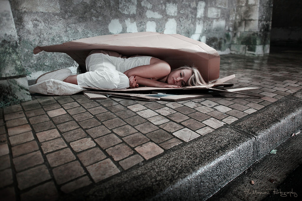 IMG 4401 3m 6729846409